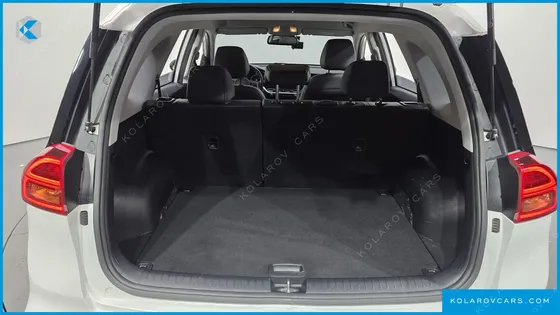 KIA NIRO EARTH