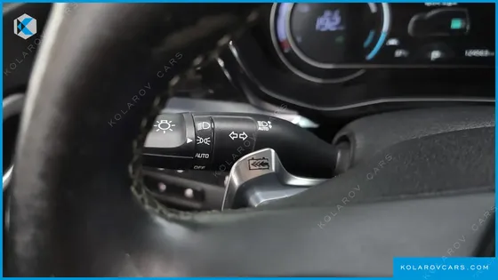 KIA NIRO EARTH