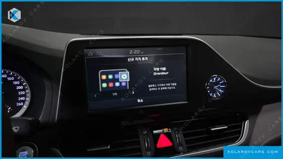 HYUNDAI GRANDEUR 3.0 LPI DSABLED PERSON
