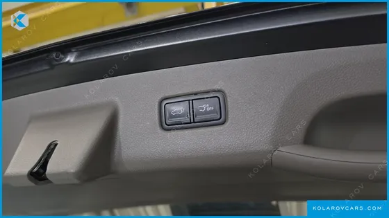 KIA CARNIVAL GASOLINE 9-SEATER HI-LIMOUSINE