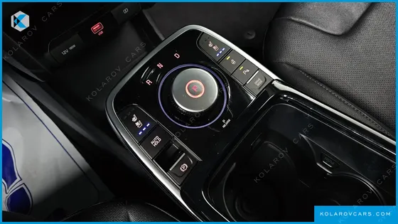KIA NIRO EARTH
