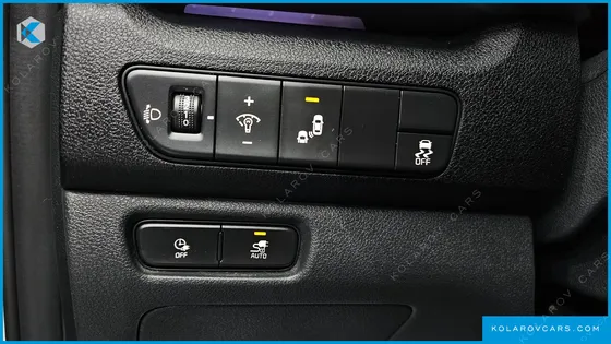 KIA NIRO EARTH