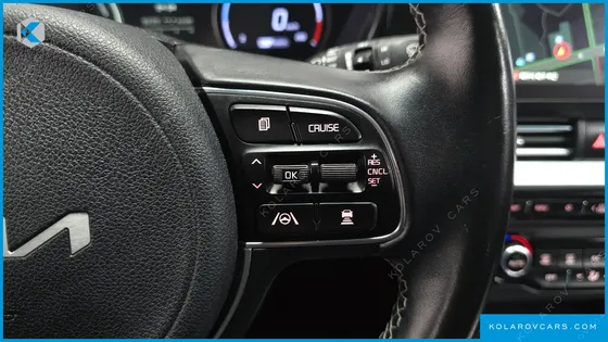 KIA NIRO EARTH