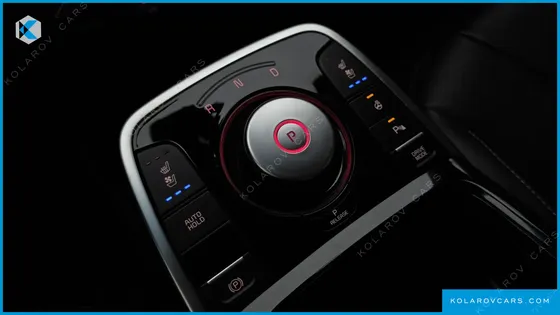 KIA NIRO EARTH