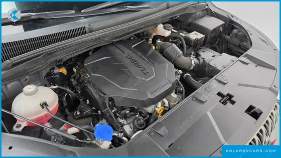 KIA CARNIVAL DIESEL 9-SEATER SIGNATURE
