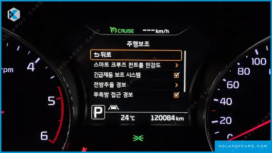KIA CARNIVAL 9-SEATER NOBLESSE SPECIAL