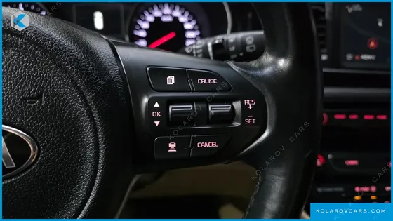 KIA CARNIVAL 9-SEATER NOBLESSE SPECIAL