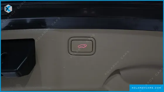 KIA CARNIVAL 9-SEATER NOBLESSE SPECIAL