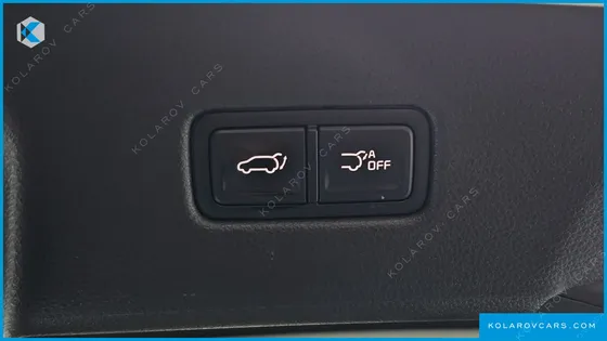 KIA CARNIVAL GASOLINE 9-SEATER SIGNATURE