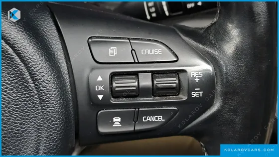 KIA CARNIVAL 9-SEATER NOBLESSE