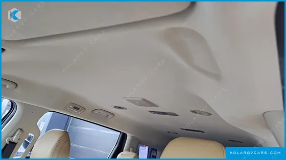 KIA CARNIVAL GASOLINE 9-SEATER PRESTIGE