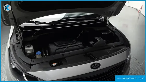 KIA CARNIVAL 7-SEATER LIMOUSINE