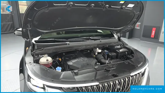KIA CARNIVAL DIESEL 9-SEATER SIGNATURE