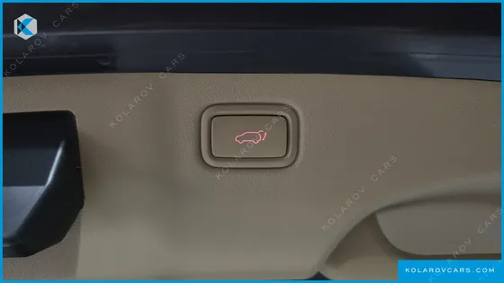 KIA CARNIVAL 9-SEATER NOBLESSE