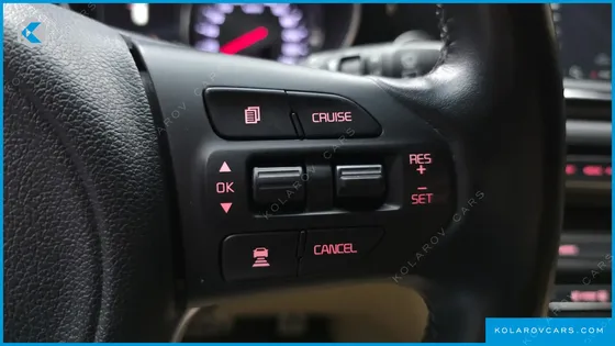KIA CARNIVAL 9-SEATER NOBLESSE
