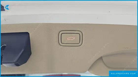 KIA CARNIVAL 9-SEATER HI-LIMOUSINE