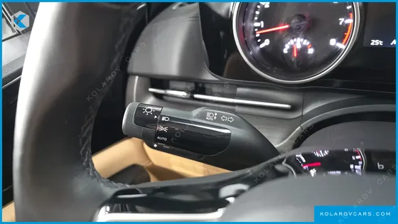 KIA CARNIVAL GASOLINE 9-SEATER PRESTIGE