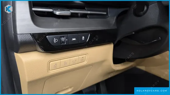 KIA CARNIVAL DIESEL 9-SEATER SIGNATURE