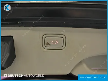 KIA CARNIVAL 9-SEATER NOBLESSE