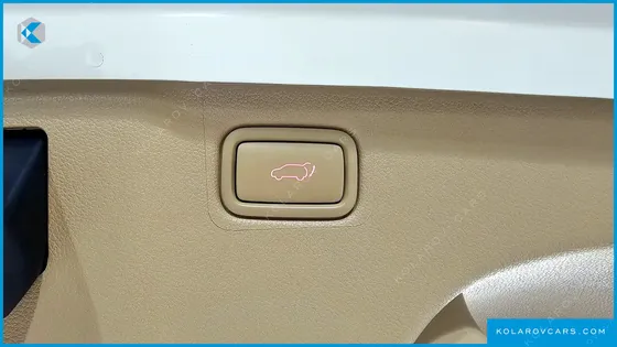 KIA CARNIVAL 7-SEATER LIMOUSINE