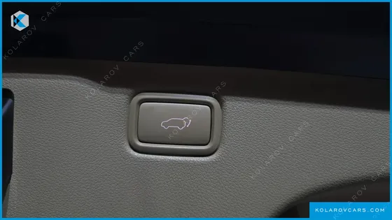 KIA CARNIVAL 9-SEATER HI-LIMOUSINE