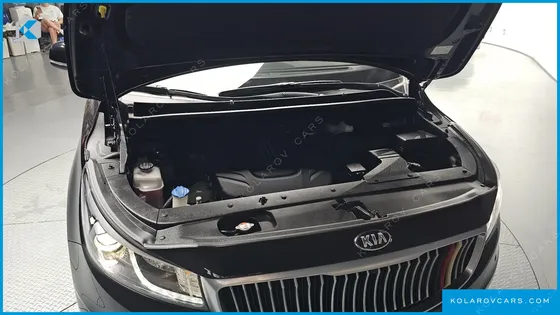 KIA CARNIVAL GASOLINE 9-SEATER HI-LIMOUSINE