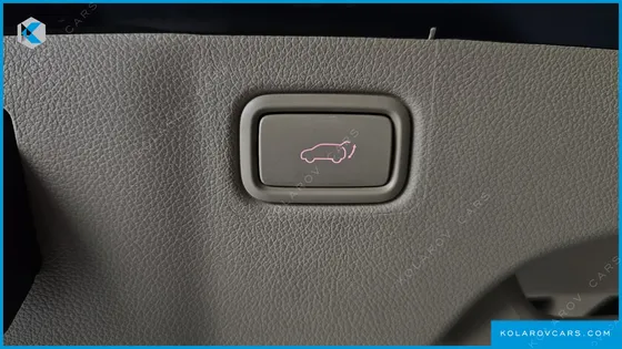 KIA CARNIVAL GASOLINE 9-SEATER HI-LIMOUSINE