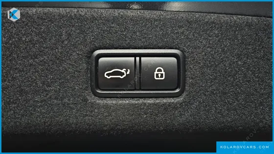 KIA K9 3.8 AWD STRUCTURE CHANGE (BI-FUEL)