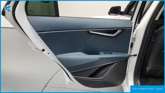 KIA NIRO EARTH