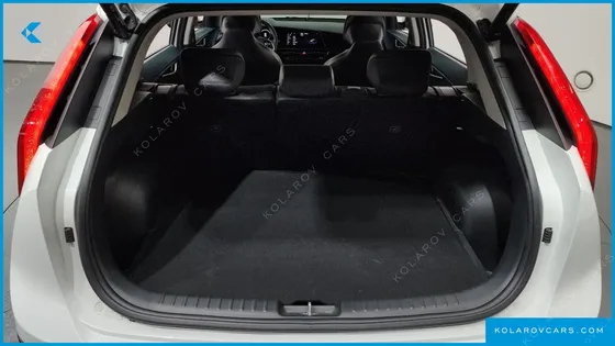 KIA NIRO EARTH