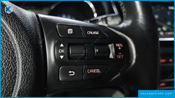 KIA CARNIVAL 9-SEATER LUXURY