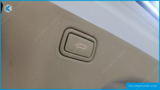 KIA CARNIVAL 9-SEATER NOBLESSE