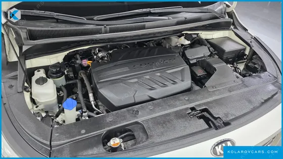 KIA CARNIVAL 9-SEATER HI-LIMOUSINE