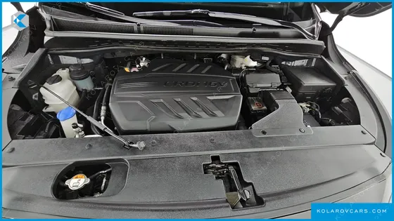 KIA CARNIVAL 9-SEATER NOBLESSE SPECIAL