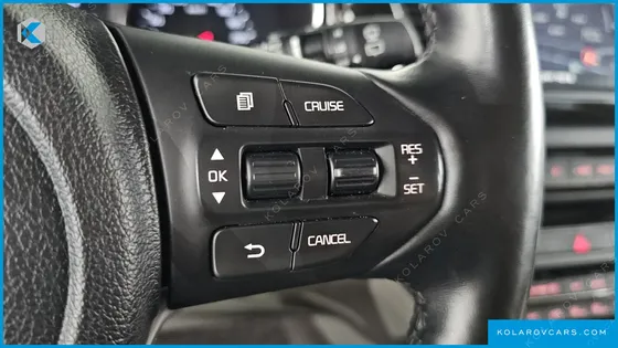 KIA CARNIVAL 9-SEATER NOBLESSE SPECIAL