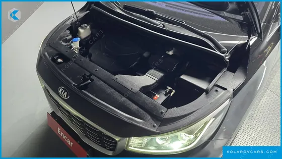 KIA CARNIVAL GASOLINE 9-SEATER NOBLESSE SPECIAL