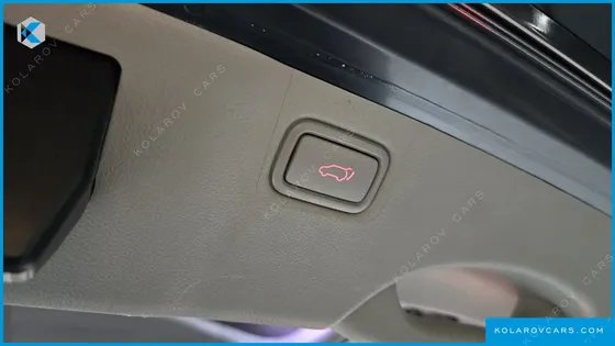 KIA CARNIVAL GASOLINE 9-SEATER NOBLESSE SPECIAL