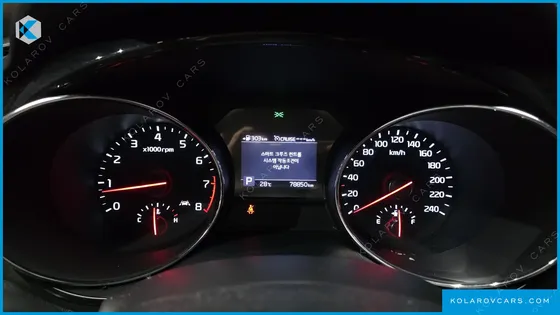 KIA CARNIVAL GASOLINE 7-SEATER LIMOUSINE