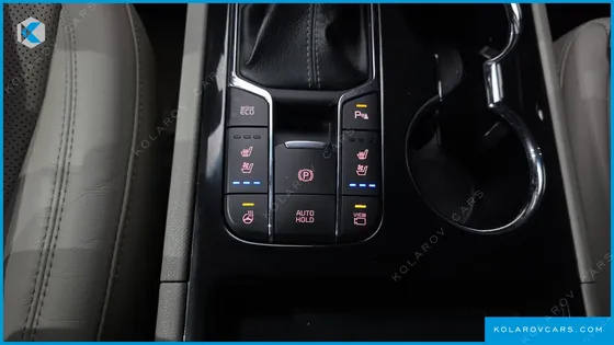 KIA CARNIVAL GASOLINE 7-SEATER LIMOUSINE