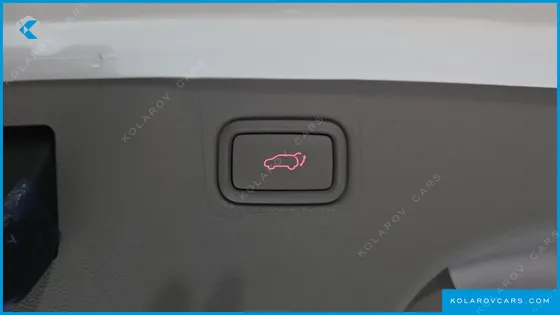 KIA CARNIVAL GASOLINE 7-SEATER LIMOUSINE