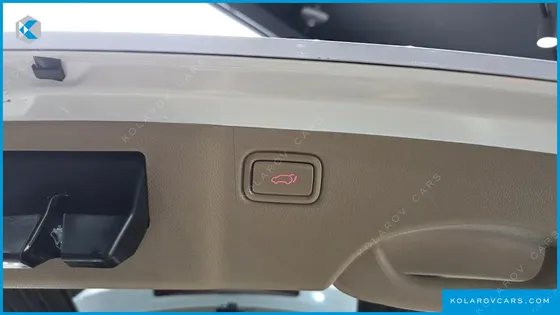 KIA CARNIVAL 9-SEATER HI-LIMOUSINE