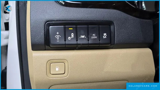 KIA CARNIVAL 9-SEATER NOBLESSE SPECIAL