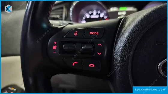 KIA CARNIVAL 9-SEATER NOBLESSE SPECIAL