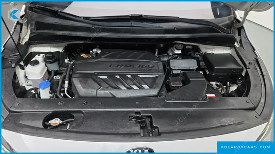 KIA CARNIVAL 9-SEATER NOBLESSE SPECIAL