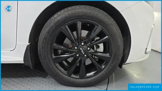 KIA CARNIVAL 9-SEATER NOBLESSE SPECIAL