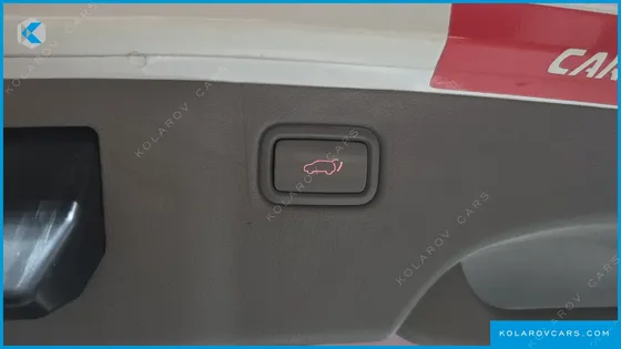 KIA CARNIVAL 9-SEATER NOBLESSE SPECIAL