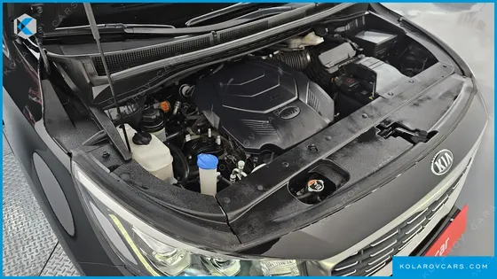 KIA CARNIVAL GASOLINE 7-SEATER LIMOUSINE