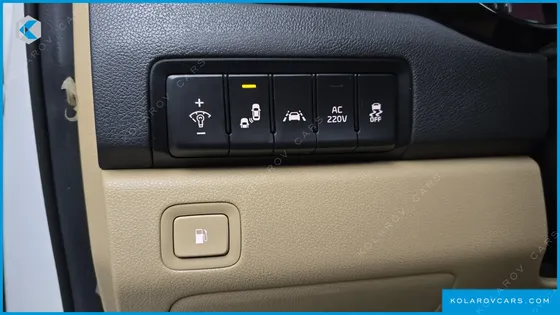 KIA CARNIVAL GASOLINE 9-SEATER NOBLESSE SPECIAL