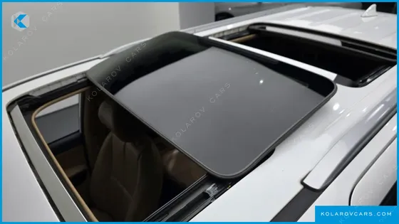KIA CARNIVAL GASOLINE 9-SEATER NOBLESSE SPECIAL