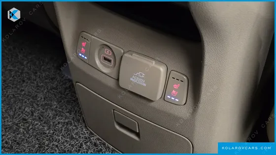 KIA CARNIVAL GASOLINE 9-SEATER NOBLESSE SPECIAL
